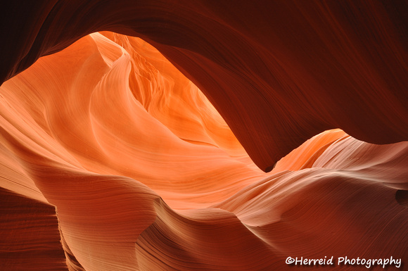 Glowing Wall of the Lower Antelope Canyon