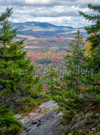 Fall in the White Mountains