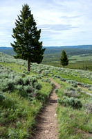 Bunsen Peak Trail