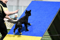 Friday FullHouse All Levels 4"-12"