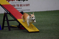 Agile Canines CPE Trial at Soccer Blast June 13-14 2015