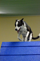 Family Dog Center CPE Trial December 1 2012