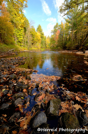 Fall Colors Along the Pine River