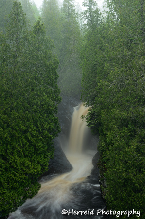 Cedar Trees and Waterfall on the Cascade River