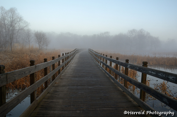 Boardwalk and Fog