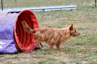 DSC_0799