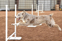 Iron Range Dog Training Club CPE Trial at Proctor September 20-22 2024