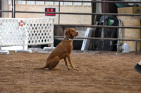 Friday FullHouse All Levels 16"-24"