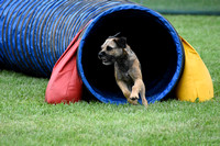 Arrowhead Dog Agility Association CPE Trial in Cloquet  August 21-23 2020