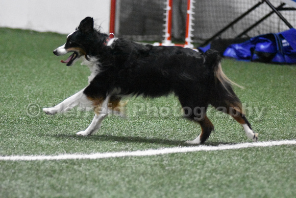DSC_2046