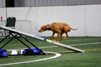 Saturday Standard Level 2