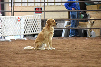 Friday Standard Level 2