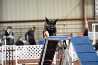 Saturday Standard Level 1
