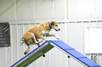 Ninja CPE Trial at Canine Sports Zone in Middleton, WI May 18 2025