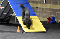 Sunday Standard Levels 23