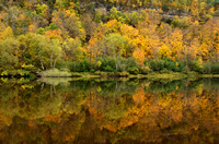 Autumn Colors Reflected in the St. Croix River
