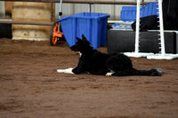 Friday Standard Level 1